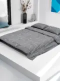 11 (1)