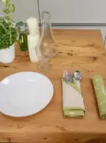 2 зелена курочка копія
